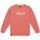 Abbigliamento Uomo Maglioni Munich Sweatshirt stanley 2507237 Coral Multicolore