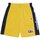 Abbigliamento Uomo Shorts / Bermuda Champion Shorts Uomo Sport Retro Giallo