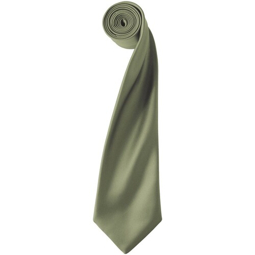 Abbigliamento Cravatte e accessori Premier Colours Verde