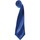 Abbigliamento Cravatte e accessori Premier Colours Blu