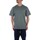 Abbigliamento Uomo T-shirt maniche corte Dickies DK0A4YFC Verde