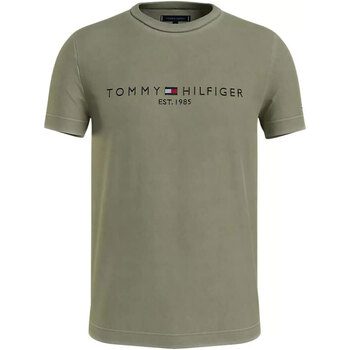 Abbigliamento Uomo T-shirt maniche corte Tommy Hilfiger GARMENT DYE TOMMY LOGO TEE Verde