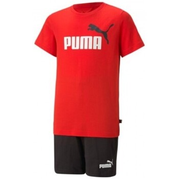 Abbigliamento Bambino T-shirt & Polo Puma 847310-21 Multicolore