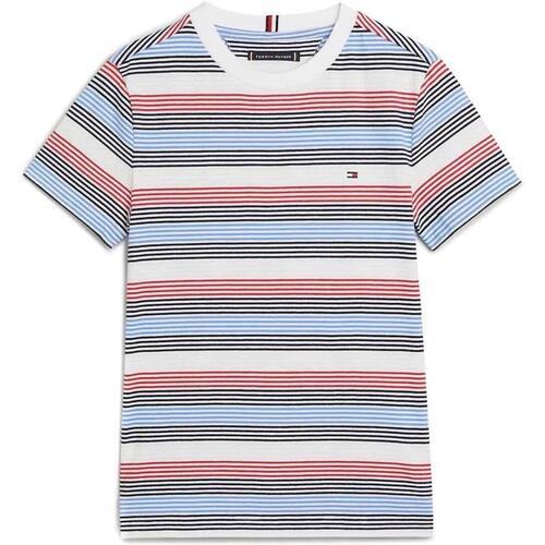 Abbigliamento Bambino T-shirt & Polo Tommy Hilfiger  Multicolore