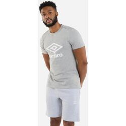 Abbigliamento Uomo T-shirts a maniche lunghe Umbro UO2075 Grigio