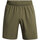 Abbigliamento Uomo Shorts / Bermuda Under Armour UA WOVEN WDMK SHORTS Verde