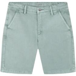 Abbigliamento Bambino Shorts / Bermuda Scalpers  Verde