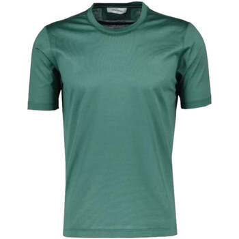 Abbigliamento Uomo T-shirt & Polo Gran Sasso T-Shirt e Polo Uomo  60133/74002 481 Verde Verde