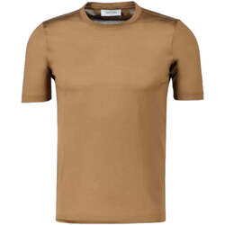 Abbigliamento Uomo T-shirt & Polo Gran Sasso T-Shirt e Polo Uomo  60133/74002 176 Marrone Marrone
