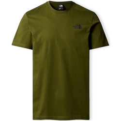 Abbigliamento Uomo T-shirt & Polo The North Face Redbox Celebration T-Shirt - Forest Olive Verde
