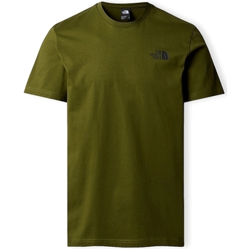 Abbigliamento Uomo T-shirt & Polo The North Face Redbox Celebration T-Shirt - Forest Olive Verde