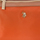 Borse Donna Borse a spalla U.S Polo Assn. BIUHU4920WIP-ORANGE Arancio