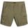 Abbigliamento Uomo Shorts / Bermuda Napapijri Bermuda cargo Noto NOTO Verde