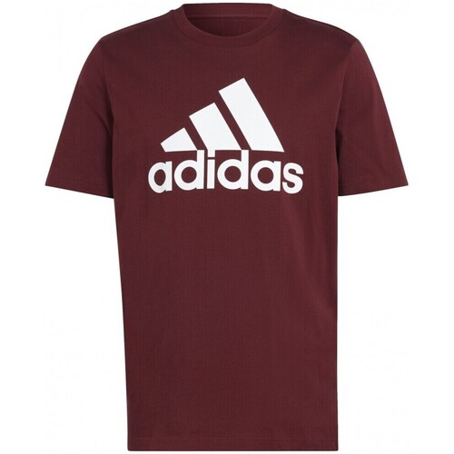 Abbigliamento Uomo T-shirt maniche corte adidas Originals T-shirt Essentials IS1301 Rosso Regular Fit Bordeaux