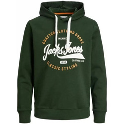 Abbigliamento Uomo Maglioni Jack & Jones Mikk Sweat Hood Verde