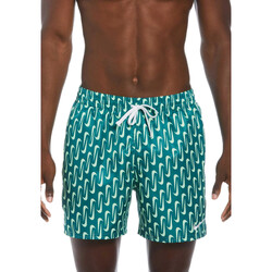 Abbigliamento Uomo Costume / Bermuda da spiaggia Nike NESSE520 Verde