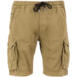 Abbigliamento Uomo Shorts / Bermuda Alpha bermuda cargo marrone Marrone