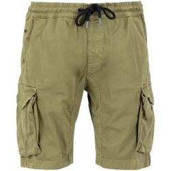 Abbigliamento Uomo Shorts / Bermuda Alpha bermuda cargo verde Verde