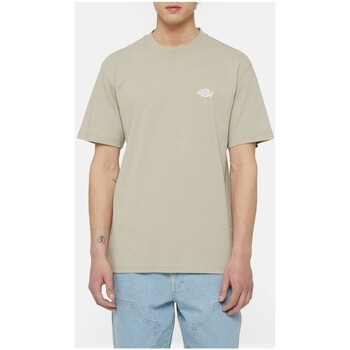 Abbigliamento Uomo T-shirt & Polo Dickies shirt Herndon Beige