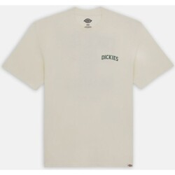 Abbigliamento Uomo T-shirt & Polo Dickies shirt Elliston Avorio