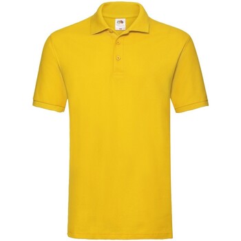 Abbigliamento Uomo T-shirt & Polo Fruit Of The Loom RW9846 Multicolore