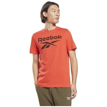 Abbigliamento Uomo T-shirt maniche corte Reebok Sport T-shirt  Ri Logo  (HF0772) Rosso