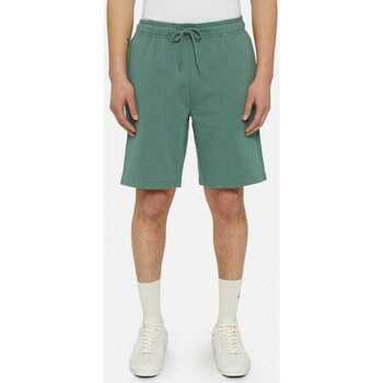 Abbigliamento Uomo Shorts / Bermuda Dickies Mapleton short Verde