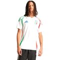Image of T-shirt & Polo adidas T-Shirt Ufficiale Calcio FIGC Italy Away Uomo