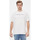 Abbigliamento Uomo T-shirt maniche corte Tommy Jeans ATRMPN-44890 Bianco