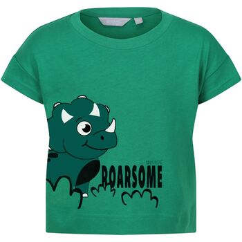 Abbigliamento Unisex bambino T-shirt maniche corte Regatta RG10357 Verde