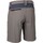 Abbigliamento Uomo Shorts / Bermuda Trespass Daars Grigio