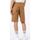 Abbigliamento Uomo Shorts / Bermuda Dickies DUCK CARPENTER SHORT DK0A4XNG-C41 BROWN DUCK Beige