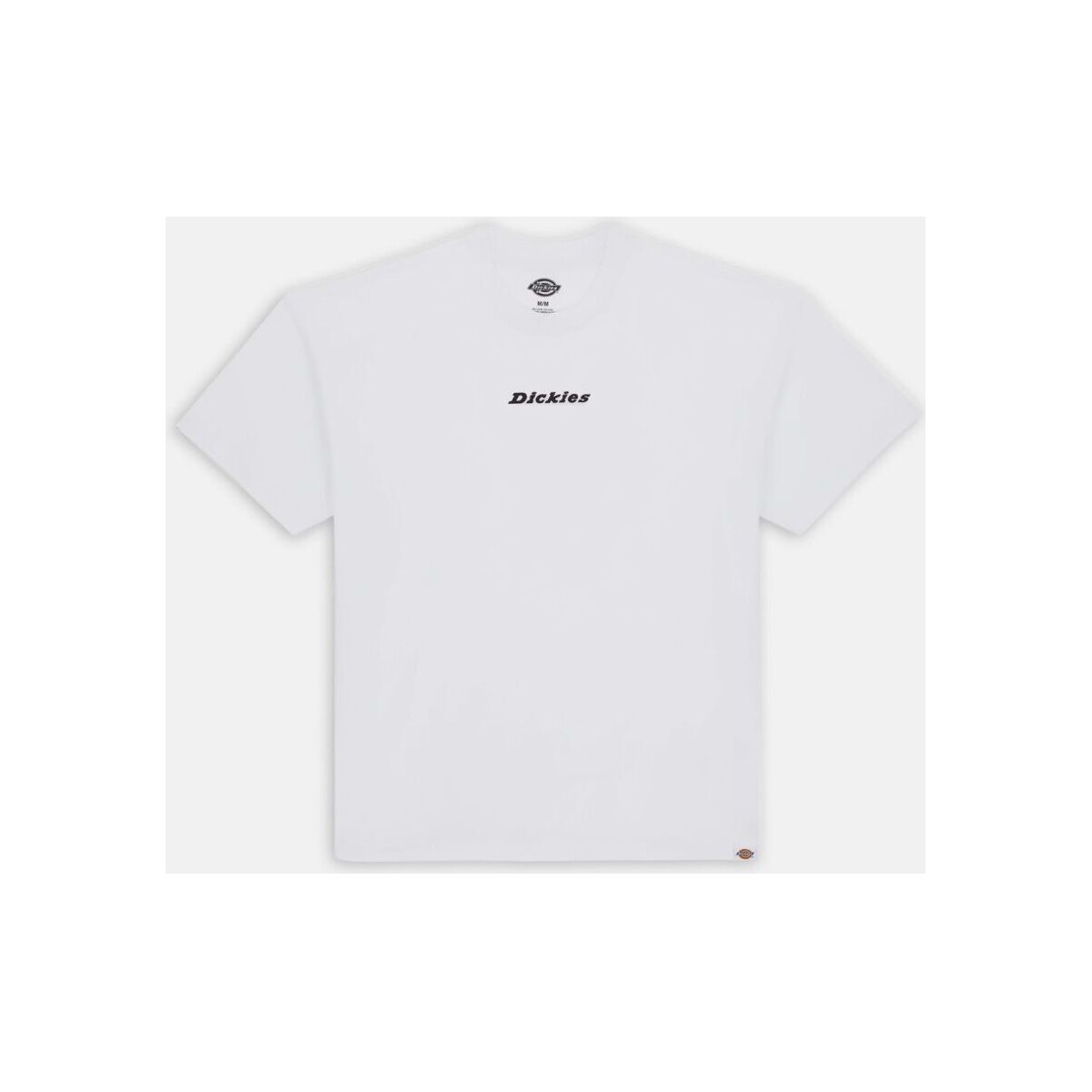 Abbigliamento Uomo T-shirt & Polo Dickies ENTERPRISE TEE DK0A4YRN-WHX WHITE Bianco