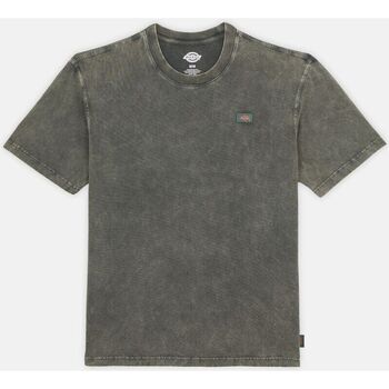 Abbigliamento Uomo T-shirt & Polo Dickies NEWINGTON TEE DK0A4YRO-H66 DBLE DYE/ACID WASH CLOUD 