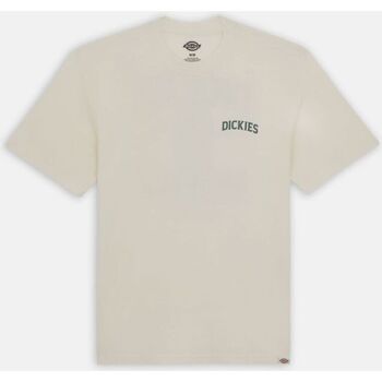 Abbigliamento Uomo T-shirt & Polo Dickies ELLISTON TEE DK0A4YRM-CLOUD Beige