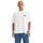 Abbigliamento Uomo T-shirt & Polo Levi's A1005 0001 - BOX SKATE TEE-WHITE CORE Bianco