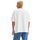 Abbigliamento Uomo T-shirt & Polo Levi's A1005 0001 - BOX SKATE TEE-WHITE CORE Bianco