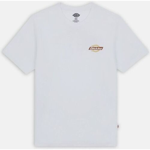 Abbigliamento Uomo T-shirt & Polo Dickies RUSTON TEE SS DK0A4XDC-H80 WHT/PALE GREEN Bianco