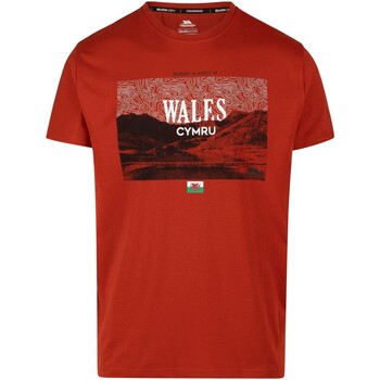 Abbigliamento Uomo T-shirts a maniche lunghe Trespass TP6451 Rosso