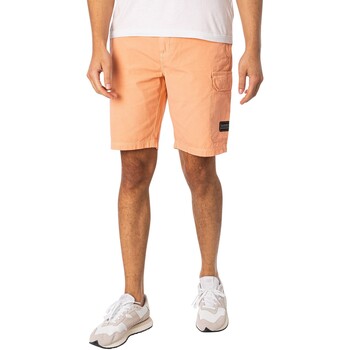 Abbigliamento Uomo Shorts / Bermuda Barbour Pantaloncini cargo Rosa