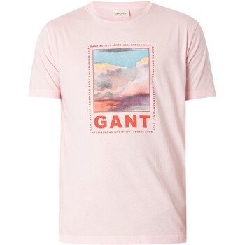 Abbigliamento Uomo T-shirt maniche corte Gant T-shirt con grafica lavata Rosa