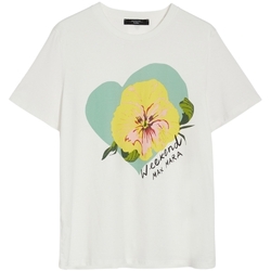 Abbigliamento Donna T-shirt maniche corte Max Mara  Bianco
