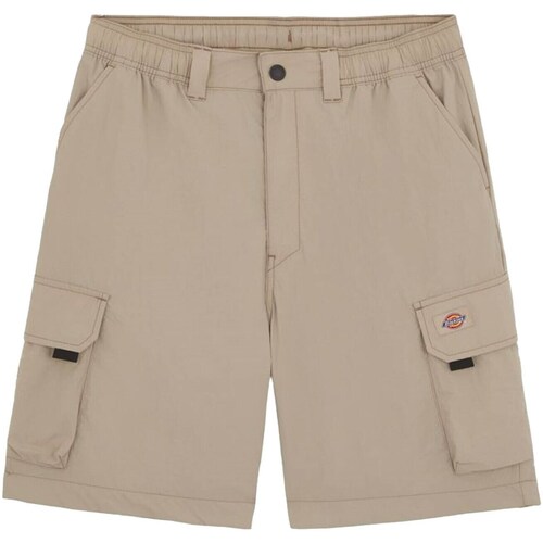 Abbigliamento Uomo Shorts / Bermuda Dickies DK0A4YACSS01 Multicolore