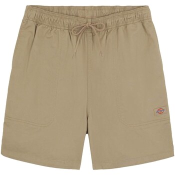 Abbigliamento Uomo Shorts / Bermuda Dickies DK0A4XB2DS01 Beige