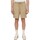 Abbigliamento Uomo Shorts / Bermuda Dickies DK0A4XB2DS01 Beige