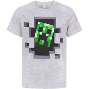 Abbigliamento Unisex bambino T-shirt maniche corte Minecraft Creeper Inside Grigio