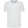 Abbigliamento Uomo T-shirt maniche corte Sun68 T-SHIRT ROUND BOTTOM S/S Beige