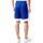 Abbigliamento Uomo Shorts / Bermuda Champion  Blu