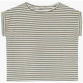 Abbigliamento Donna T-shirt maniche corte Dixie T-shirt fantasia a righe con orli T512J085 Verde