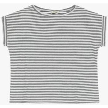 Abbigliamento Donna T-shirt maniche corte Dixie T-shirt fantasia a righe con orli T512J085 Grigio